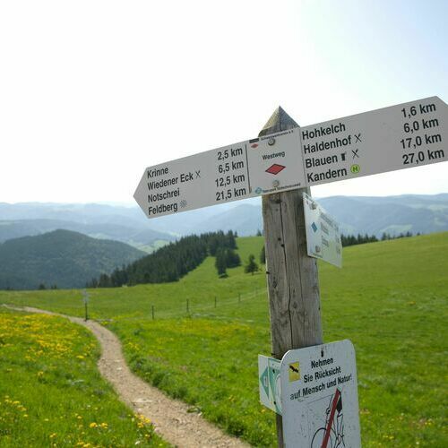 Beschilderung am Belchen