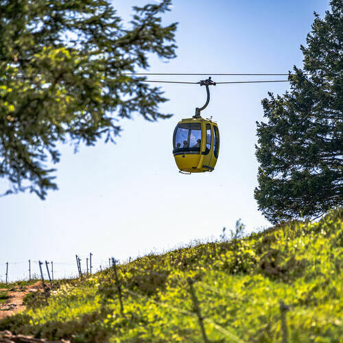 Die Belchen Seilbahn 
