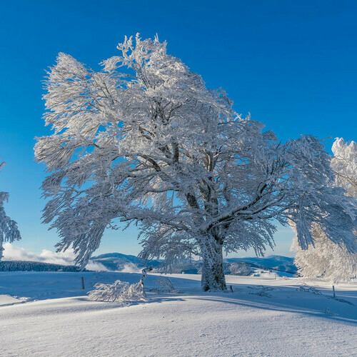 Winter im Naturpark Sdschwarzwald