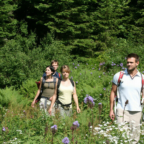 Wandern im Naturpark Sdschwarzwald