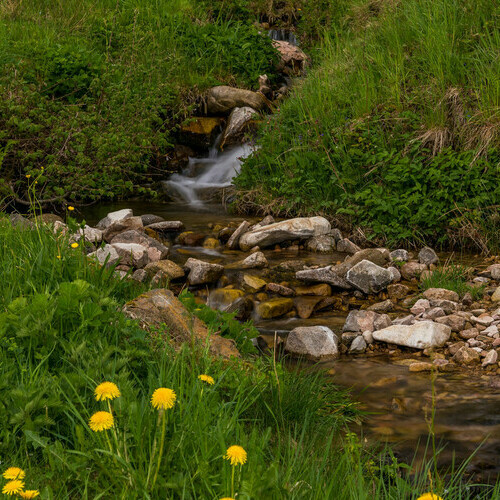 Natur pur inmitten des Sdschwarzwaldes