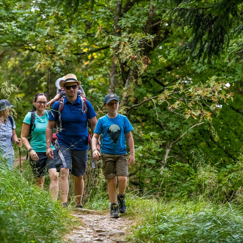 Wandern rund um Wieden - ein Erlebnis, das begeistert