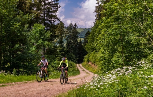 Die angebotene Radtour ist 31,9 Km lang. Es sind insgesamt 920 Hhenmeter zu bewltigen. 