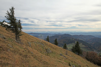 Naturschutzgebiet Belchen Naturschutzgebiet Belchen