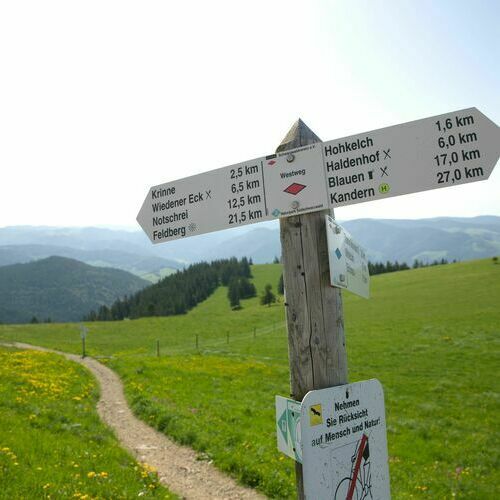 Wegweiser am Belchen