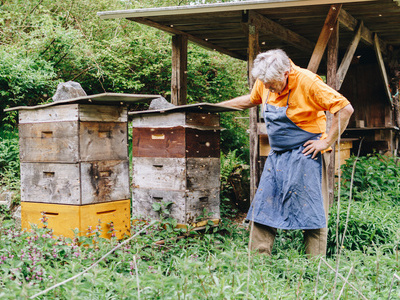 Der Imker aus Wieden mit seinen Bienenst�cken