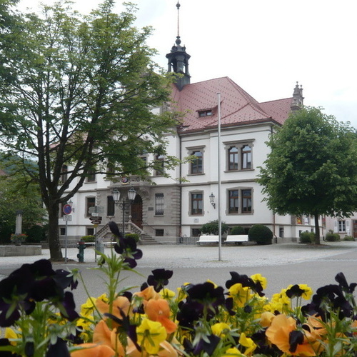 Rathaus - 