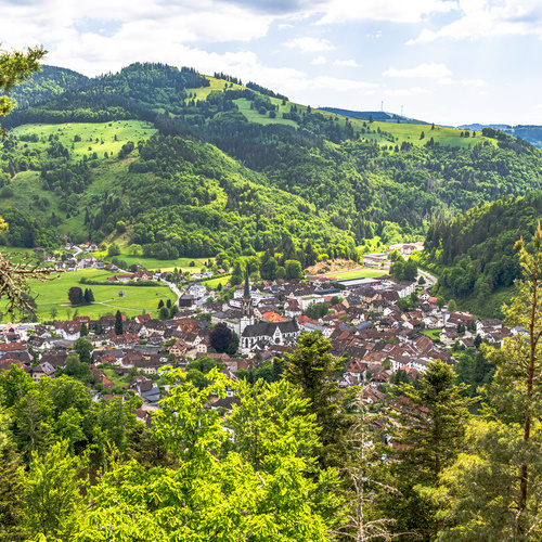 Der Hassler Felsen, ein Aussichtpunkt oberhalb von Schönau, befindet sich nur wenige Gehminuten von unserer Ferienwohnung entfernt. - 