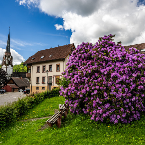 Blick auf den Kirchturm von Sch&ouml;nau von der Kirchb&uuml;hlstra&szlig;e aus - 