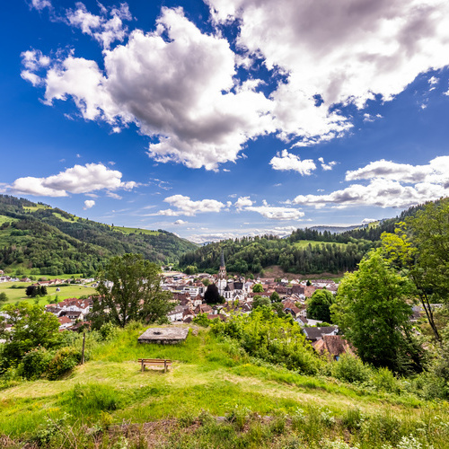 Blick auf das Stastzentrum vom ehem. Schlageter Denkmal - 